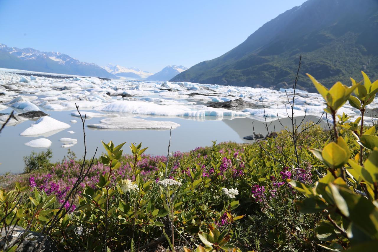 Alaska Glacier Lodge Palmer Luaran gambar